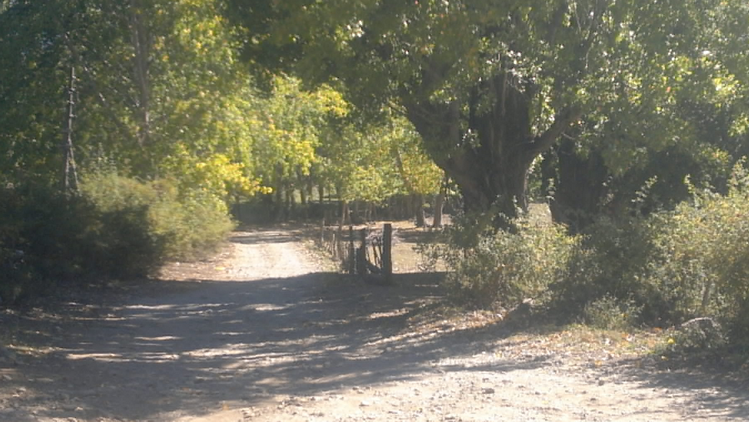 EXCELLENT FARM IN EL BOLSON - MALLIN AHOGADO - RIO NEGRO PROVINCE - PATAGONIA ARGENTINA -